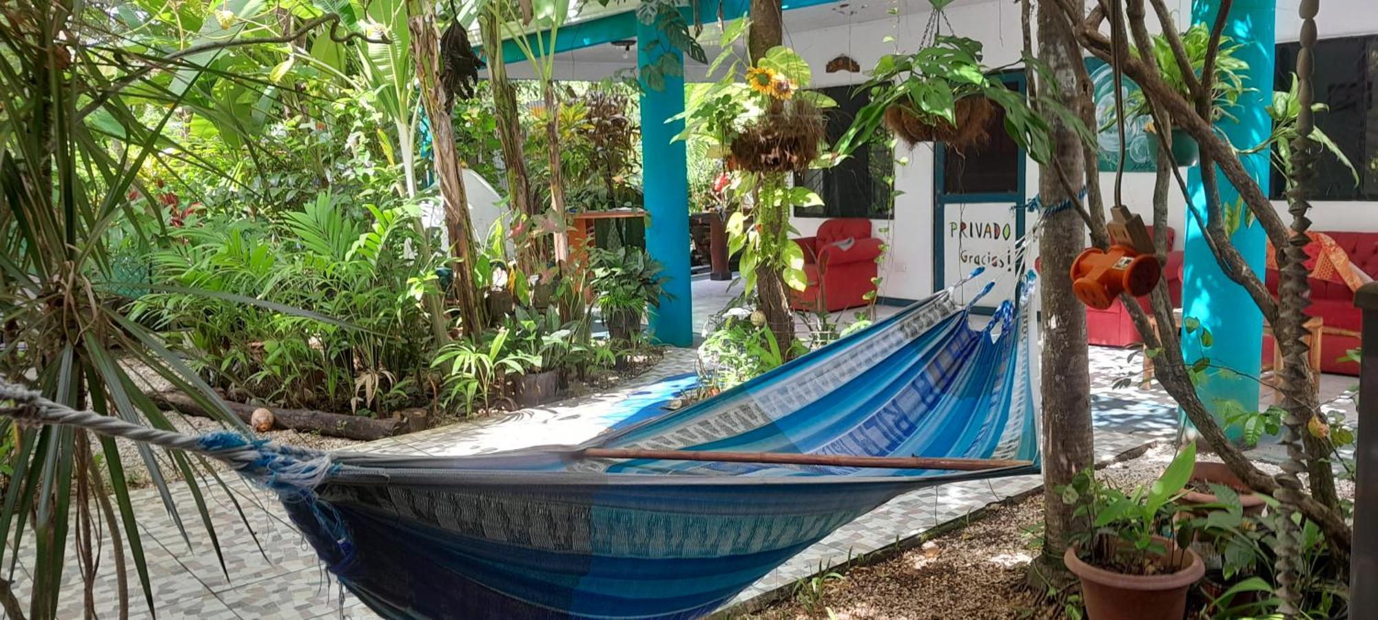 Cabinas Del Mar Sámara Eksteriør billede